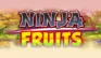 Ninja Fruits logo