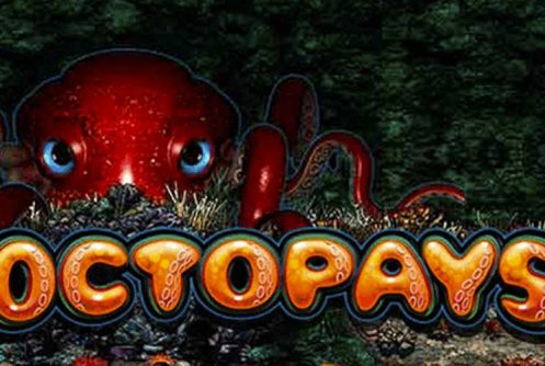Octopays automat