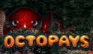 Octopays logo