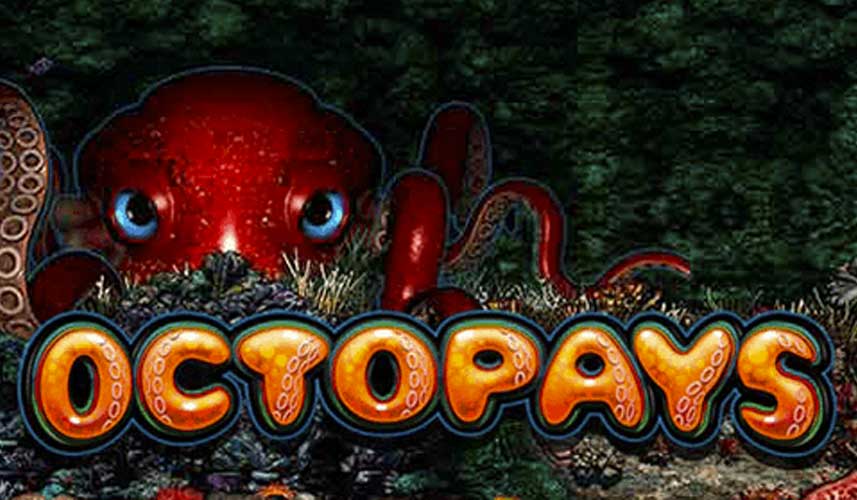 Octopays image