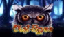 Owl Eyes logo