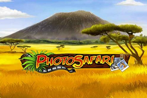 Photo Safari automat