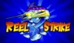 Reel Strike automat
