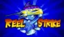 Reel Strike logo Reel Strike logo