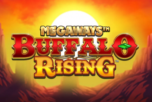 Buffalo Rising