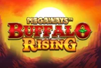 Buffalo Rising