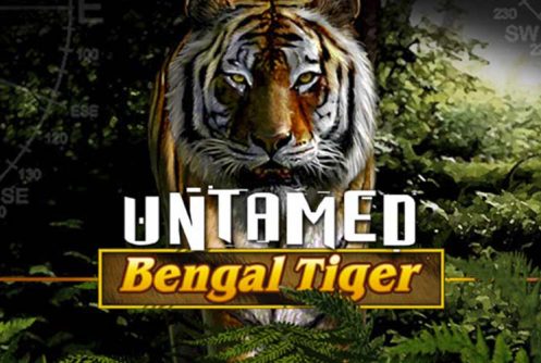 Untamed Bengal Tiger automat