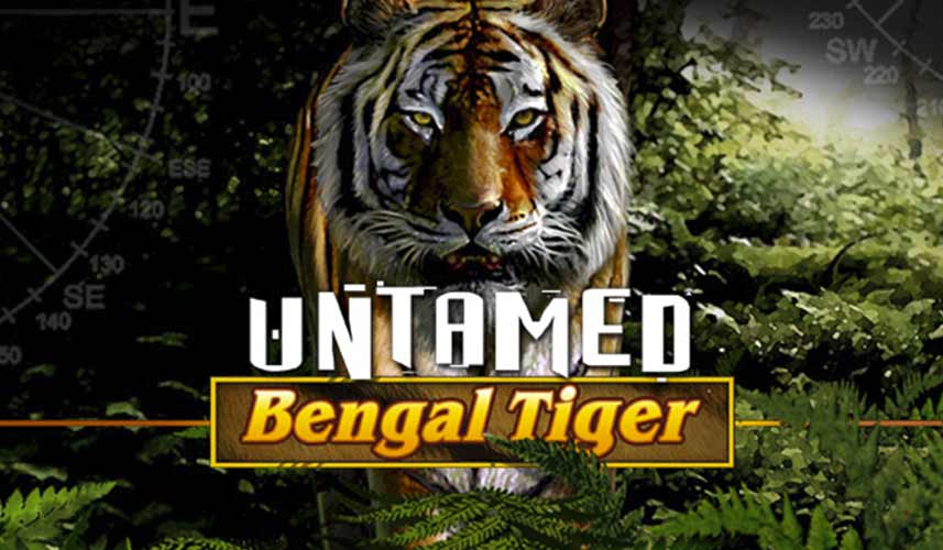 Untamed Bengal Tiger automat