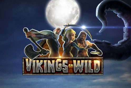Vikings Go Wild automat