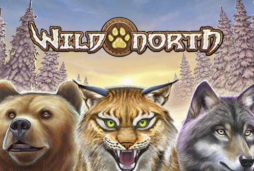Wild North automat