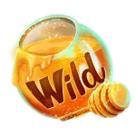 Wild symbol