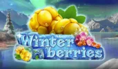 WinterBerries logo