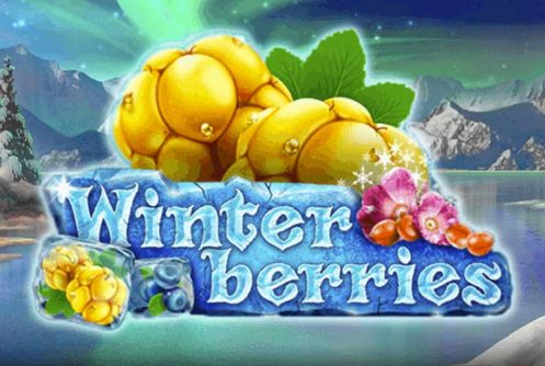 Winterberries automat