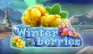 WinterBerries logo