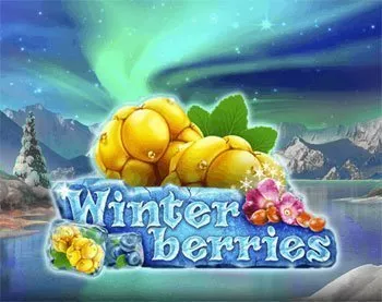 Winterberries