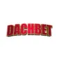 Dachbet