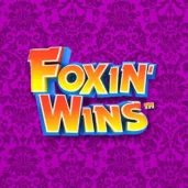 Foxin wins Image for Foxin Wins