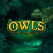 Owls logo Logo image for Owls