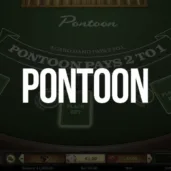 Pontoon logo Logo image for Pontoon