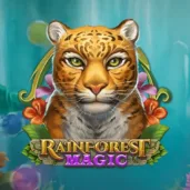 Rainforest magic logo Logo image for Rainforest Magic