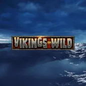 Logo image for Vikings Go Wild