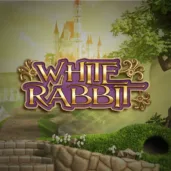 White rabbit Image for White Rabbit