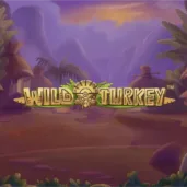 Wild turkey Image for Wild Turkey