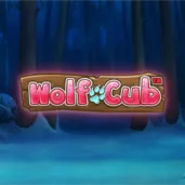 Wolf cub (1) Image for Wolf Cub