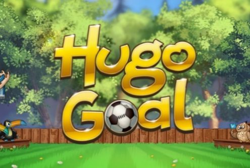 hugo goal 497x334