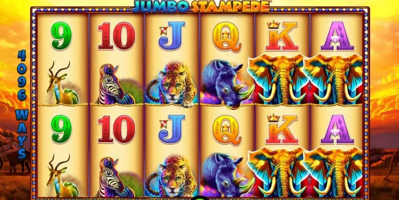 jumbo stampede