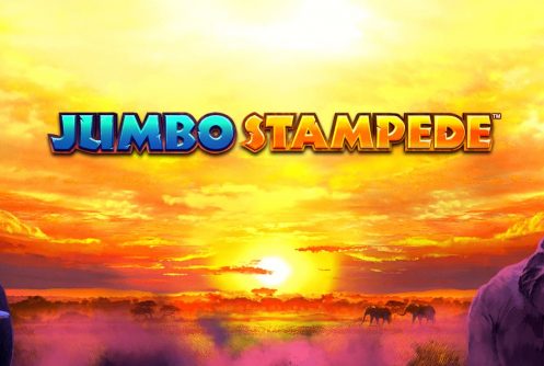 jumbo stampede