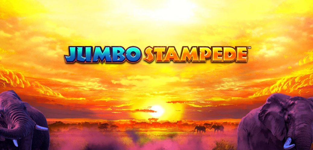 jumbo stampede logo