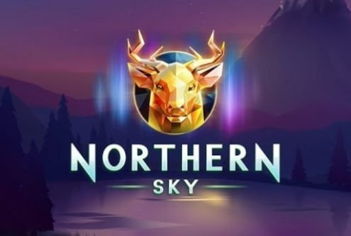 northern sky logo