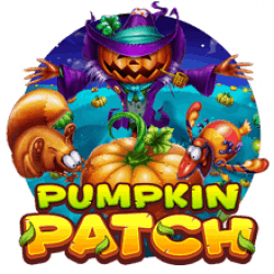pumpkin patch