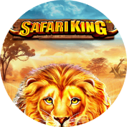 safari king (1)