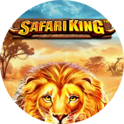 safari king (1)