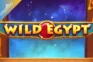 Wild Egypt logo